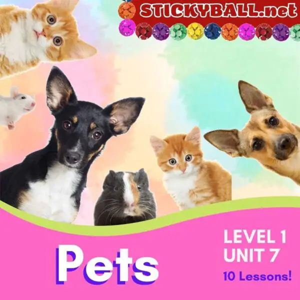 Beginner Online ESL Curriculum – Level 1, Unit 7 – “Pets”